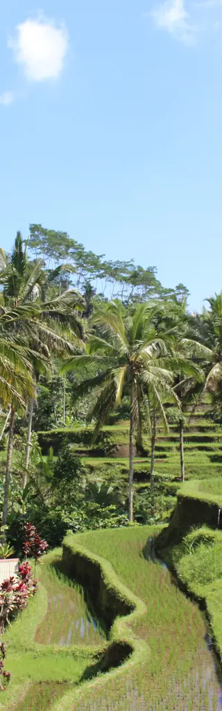 Bali erleben als Frau – Solo-Reise mit dem Rucksack